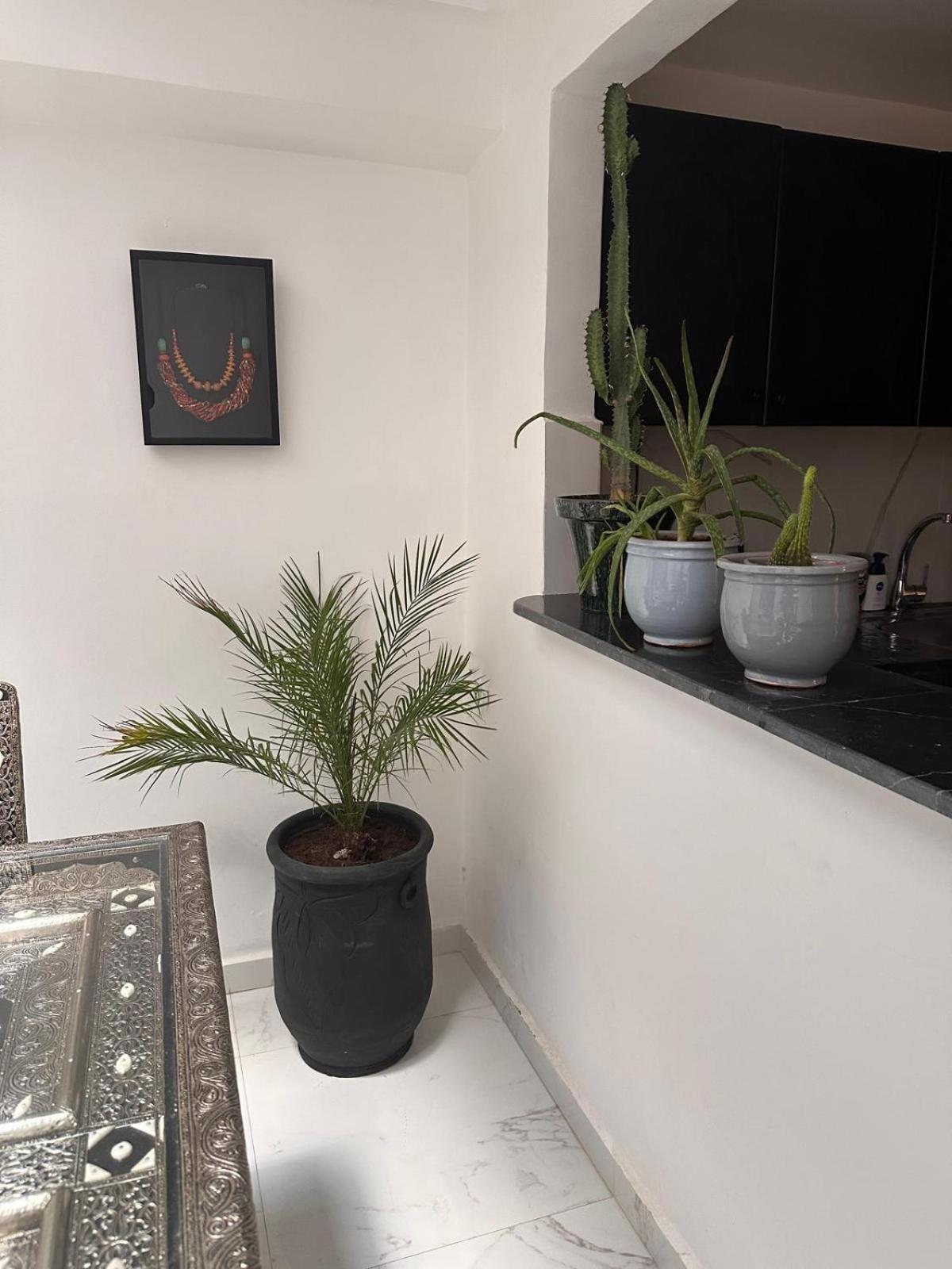 Riad Darnooz 마라케시 외부 사진